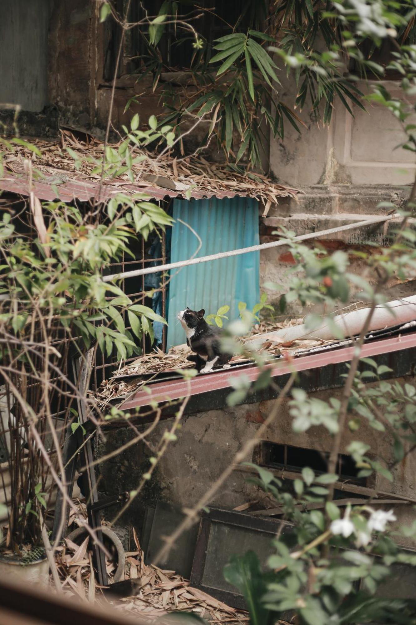 Hidden Gem Homestay 2 Hanói Exterior foto